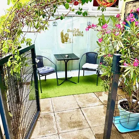 Emily Deluxe Superior 5 Star Studio Apartment, Your Piece Of Heaven With Sea & Park View Novigrad  Exterior photo
